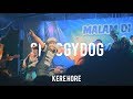 SHAGGYDOG - Kere hore, live (Sayidan)