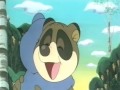 Panda seikkailee