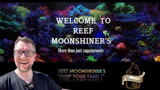 Reef Moonshiners - The Full Guide