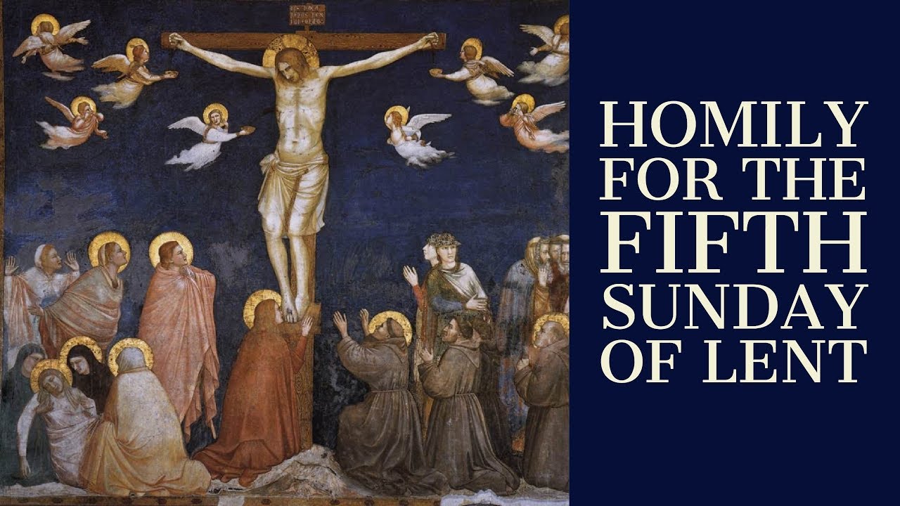 Homily For The Fifth Sunday Of Lent (Year B) - YouTube