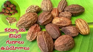 కరక్కాయ ఔషద గుణాలు ఉపయోగాలు /Karakkya Ouishada Gunalu Telugu /Terminalia Chebula