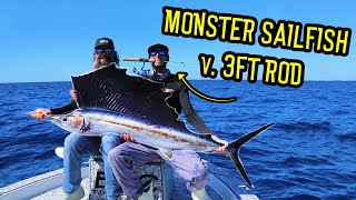 Monster Sailfish on a 3ft Rod?!