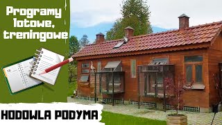 Programy lotowe, treningowe | Hodowla Podyma