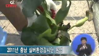 2011년 충남 실버환경감시단 운영