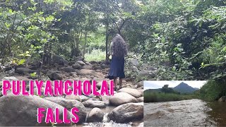 இது தெரியாம புளியஞ்சோலை போகாதீங்க... | Puliyancholai falls (Trichy) | Must watch before visit