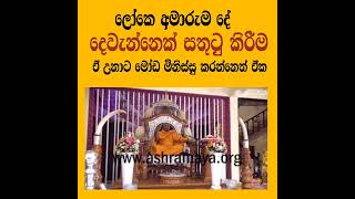 පටිසෝතගාමී |ලෝකේ අමාරුම දේ|Samanthabhadra Buddha|Eternal Love