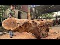 largest rustic monolithic table from old rare giant tree stump extremely heavy woodworking skills