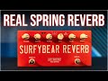 REAL Spring Reverb! Surfy Industries Surfybear Compact