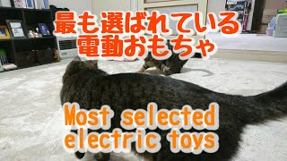 人気No.1の猫用電動おもちゃをプレゼントしたら、うちのニャンズはこんな感じの反応でした～