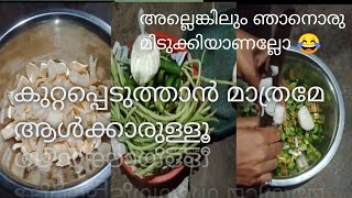 രാവിലത്തെ കുറച്ച് പണികൾ  //vlog::3// #dayinmylifemalayalam