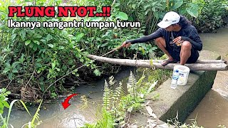 PLUNG NYOT..!! MANCING DI SELOKAN SEHABIS HUJAN || STRAIKE IKAN NILEM DAN WADER