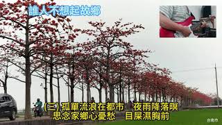 誰人不想起故鄉24apr007   (桂花咖啡樂團      聽歌 練歌  遊台灣)白河林初埤木棉花道