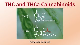 THC and THCa Cannabinoids