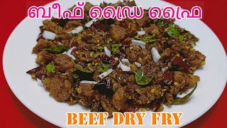 ബീഫ് ഡ്രൈ ഫ്രൈ || BEEF DRY FRY in Malayalam || AL SAFA KITCHEN