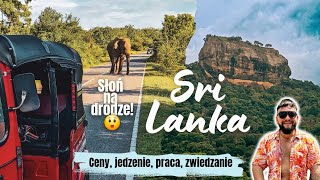 Raj dla cyfrowych nomadów? 💻🌴 Ceny, praca i życie na Sri Lance!