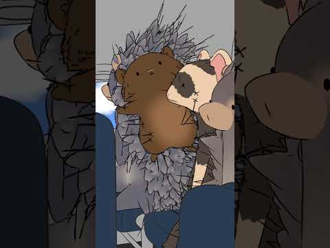 Do Porcupines have venom in their quills?