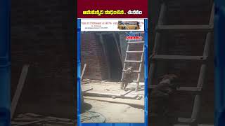 అనుకున్న‌ది సాధించిన‌..శున‌కం #vstnewsz #doglover  #dogvideos #funnyanimalvideos #funnyanimalsvideos