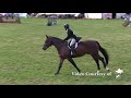 nona garson at avh hunter derby handy round