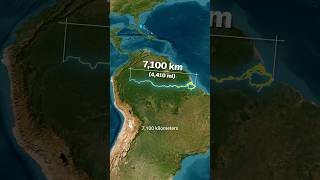 Why The Amazon River Has No Bridges? 🤯 One of the World's Longest Rivers 🌊