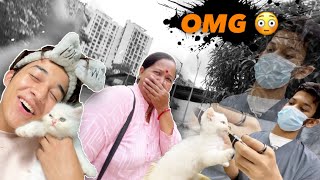 Leo Ke Vaccination Ke Chakkar Main Popat hogya 😅 || Vlog #252