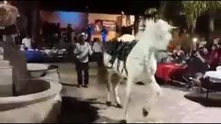 Hada hisan mahgriiibi bla chk Hada hisan mahgriiibi bla chk