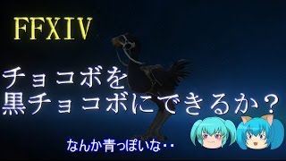 FFXIV 黒チョコボにする！！　＠十六夜桜 FF14