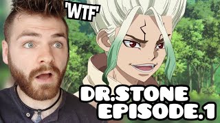 THE BEST FIRST EPISODE?!!?! | Dr. STONE | Episode 1 | ANIME REACTION