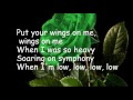 Download Coldplay Hymn for the weekendLYRICS mp3