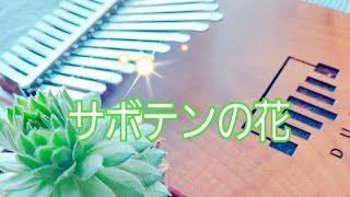 【カリンバ演奏】サボテンの花～財津和夫🎼kalimba cover🎼