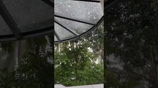 Rain 🌧️ Kerala - Monsoon, Rainy season മഴക്കാലം ☔ #asmr