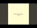 Forest Pulse Ocean