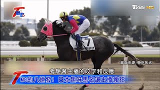 歡迎光臨.不要碰我 日本賽馬超趣味馬名 T觀點 20210306 (4/4)