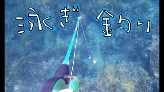 風島なぎさ公園キャンプ場前の海・・・ちょい右の方で泳ぎ釣り！【佐渡島キャンプ】