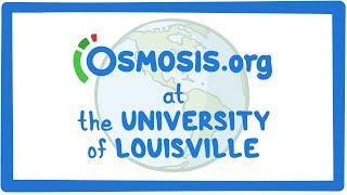 Osmosis.org at the University of Louisville in Kentucky, USA