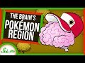 Your Brain Probably has a 
