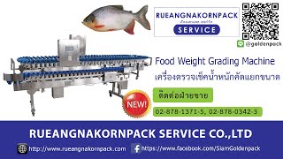 Check Weight Machine เครื่องคัดไซน์ คัดแยกขนาดจากน้ำหนัก คัดไซน์ปลา