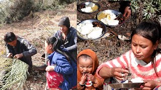 Local Pork fry Curry \u0026 Rice By pastoral new couple || Pastoral Life of Nepal