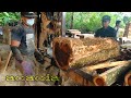 Sawing Acacia Mangium..( Acacia Wood )