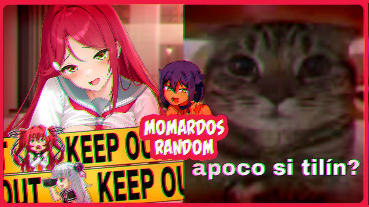 Momardos Random 84 Videos Random Memes Compilation Shitpost