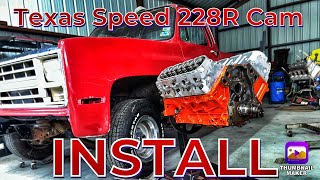 TEXAS SPEED 228R CAM INSTALL (LSX 85 Chevy C10 Build!!!)