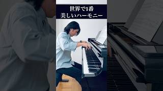 この曲が聴ける時代に生まれられて本当によかった…！！　#shorts #ショート　#rachmaninoff #ラフマニノフ pianist #ピアノ #クラシック #piano #ピアニスト