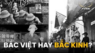 SỐ ĐẶC BIỆT #23 | Quân Ngoại Bang Ở BẮC VIỆT !