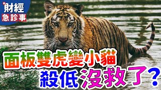 財經急診事-20210507／面板雙虎變小貓 殺低沒救了？