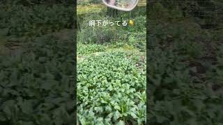 熊🧸出没注意報‼️今年2回目😭