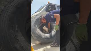 Ermao Pang Yu Shou || Tire change every day. work hard every day #trucks #ermaopangyushou #truck