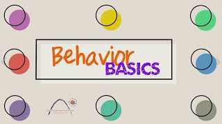 Behavior Basics - They are bugging me