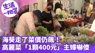 《生活一把罩》海葵走了菜價仍飆！高麗菜「1顆400元」主婦嚇傻