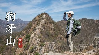 【北京徒步Vlog】门头沟狗牙山穿越，远观山脊如刀刃般，北京户外徒步登山