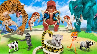 3 Zombie Elephant Cow Gorilla vs 3 Giant Tiger Wolf Bull vs Giant Snake Attack Baby Elephant Buffalo