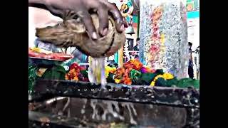 Sree chowdeswari Devi brhostram#shortvideo #trending